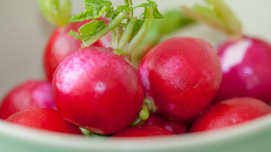 Fresh Radishes with Butter and Rock Salt