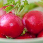 Fresh Radishes with Butter and Rock Salt