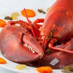 poached lobster