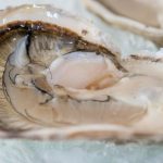 How to Shuck an Oyster Safely