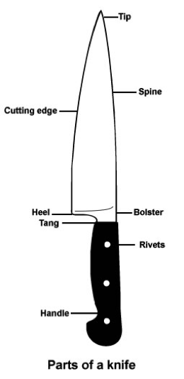 Knife Construction - Online Culinary School (ocs)